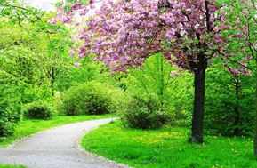 Park WG-Zimmer in Berlin Lichtenberg Neu Hohenschönhausen